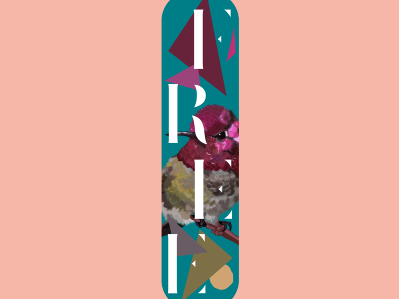 Aïtana Design, Caroline Viollier, graphisme, direction artistique, création graphique, design graphique, branding, Biarritz, Paris, studio de création, skate art, création sur skate board, skate board personalisé, skate board customisé, custom design, planche de skate, planche de skate oiseau, free, planche de skate liberté, faire customiser sa planche de skate, cadeau planche de skate personnalisée