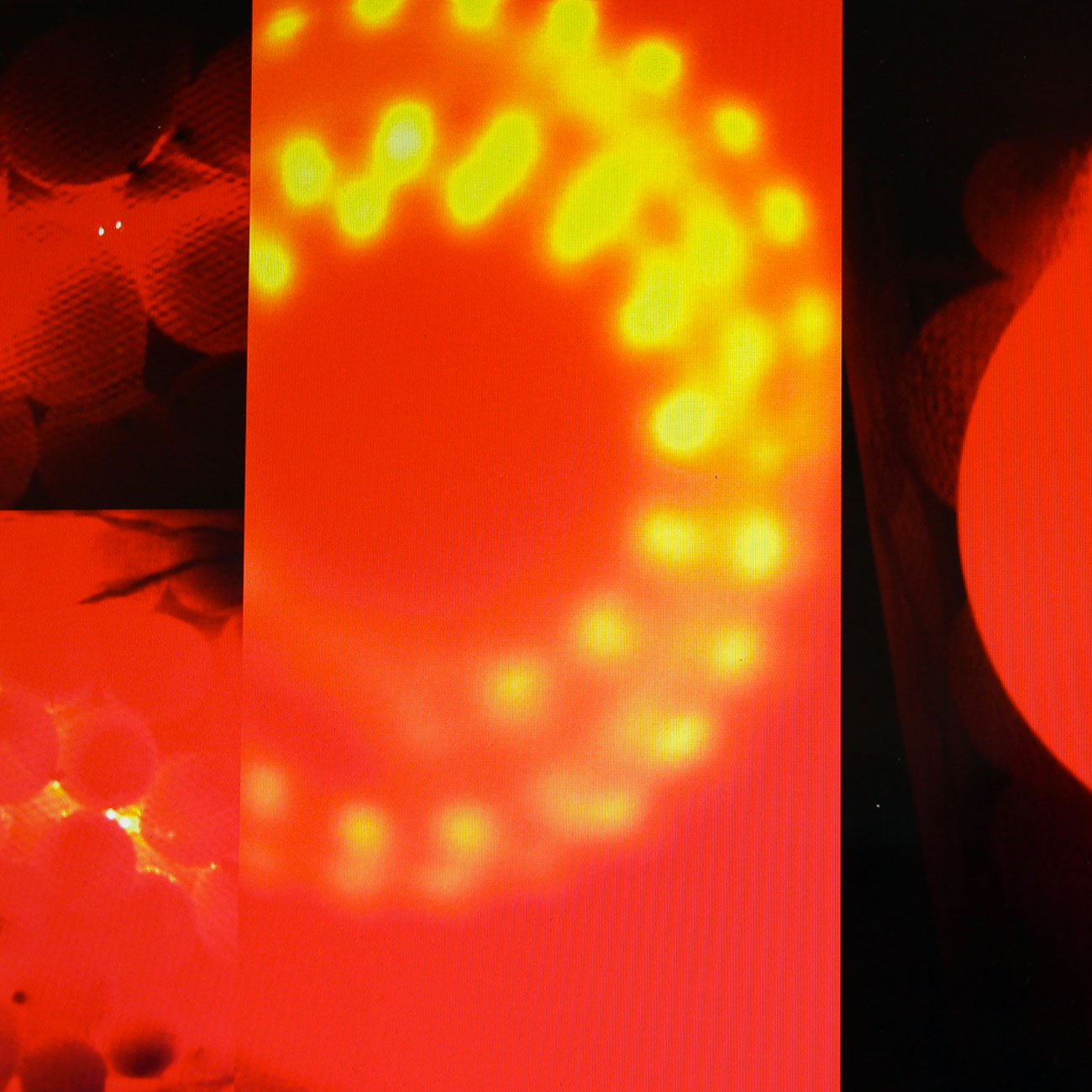 Aïtana Design, Caroline Viollier, graphisme, direction artistique, création graphique, design graphique, branding, Biarritz, Paris, studio de création, scénographie, art numérique, installation interactive, digital, ballons, cocon